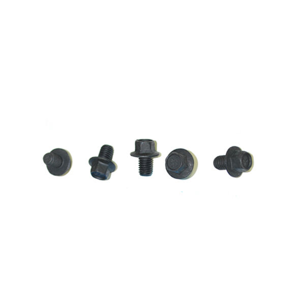 FS108127L FS108127L Schraube Riemenscheibe Wasserpumpe TDI 300 Motor