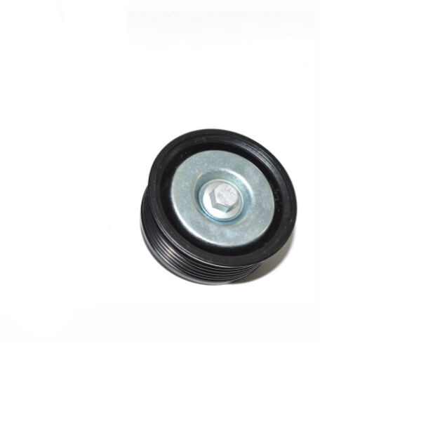 PQH500100 PQH500100 Umlenktrolle Defender TD4